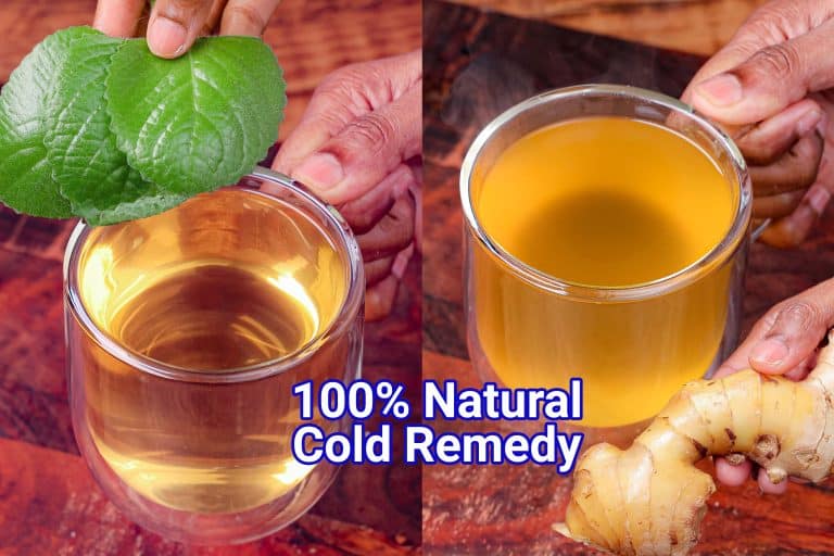 Ajwain Leaves Benefits & Uses | Doddapatre Kashaya Drink cover